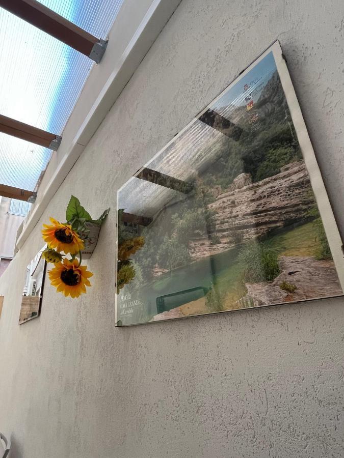 Casa Diana Lägenhet Avola Exteriör bild